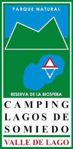 Logotipo Mi web